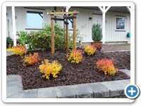 Aleksander Leander Jonassen